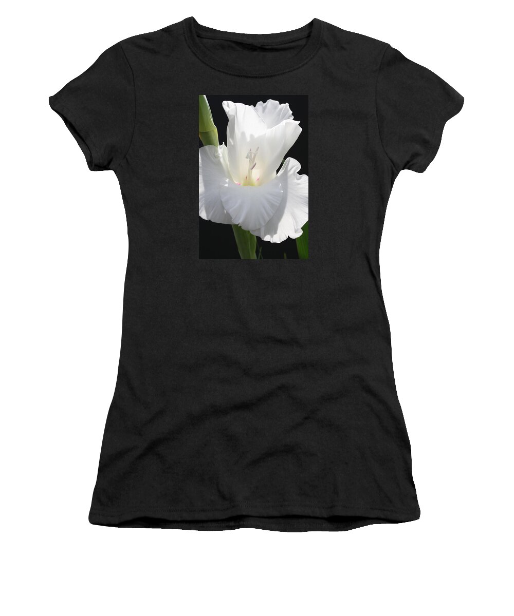 Gladiolus Women's T-Shirt featuring the photograph Gladiolus Chef by Tammy Pool