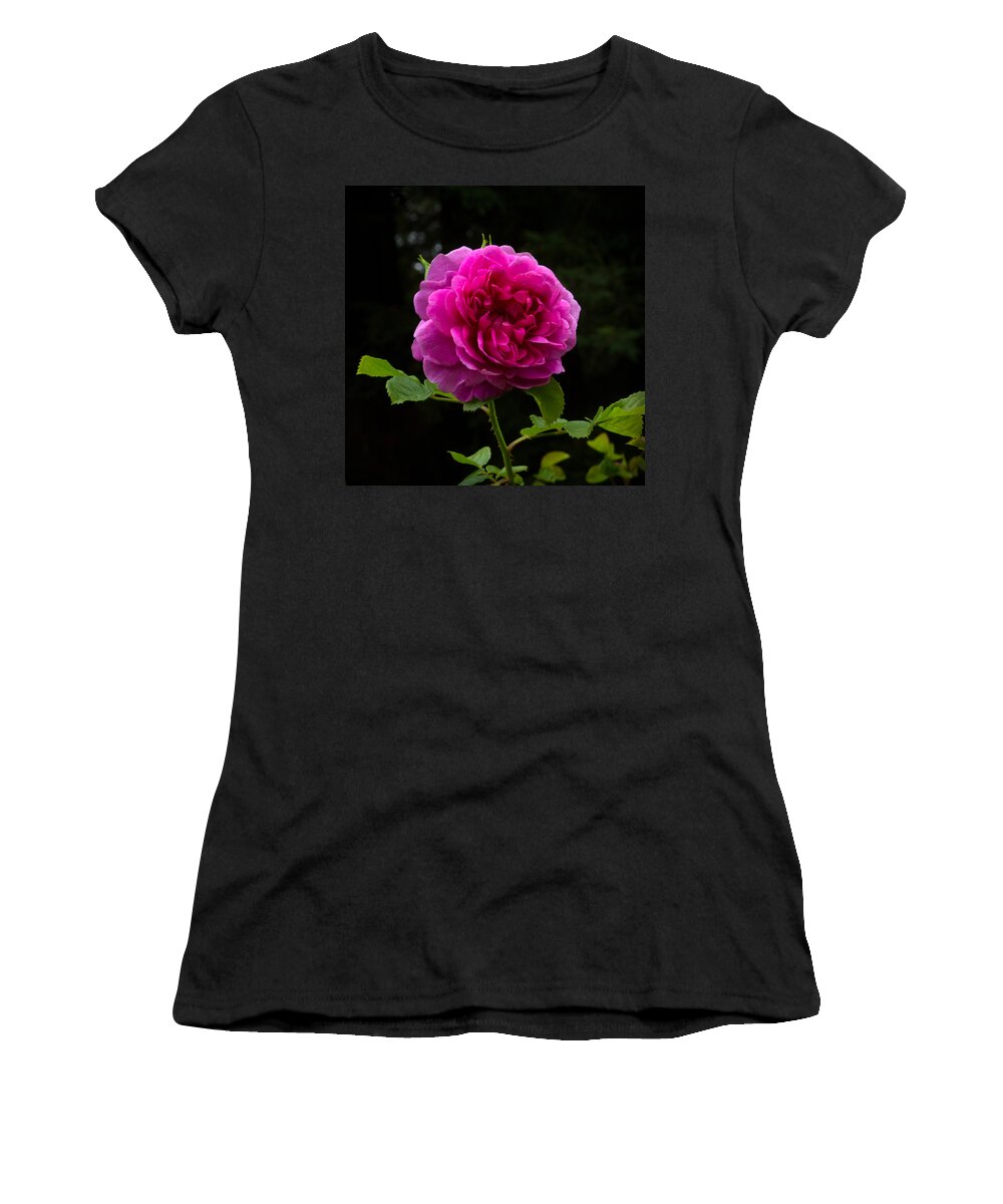 Bonnie Follett Women's T-Shirt featuring the photograph Glory of the Wild Blue Yonder Rose by Bonnie Follett
