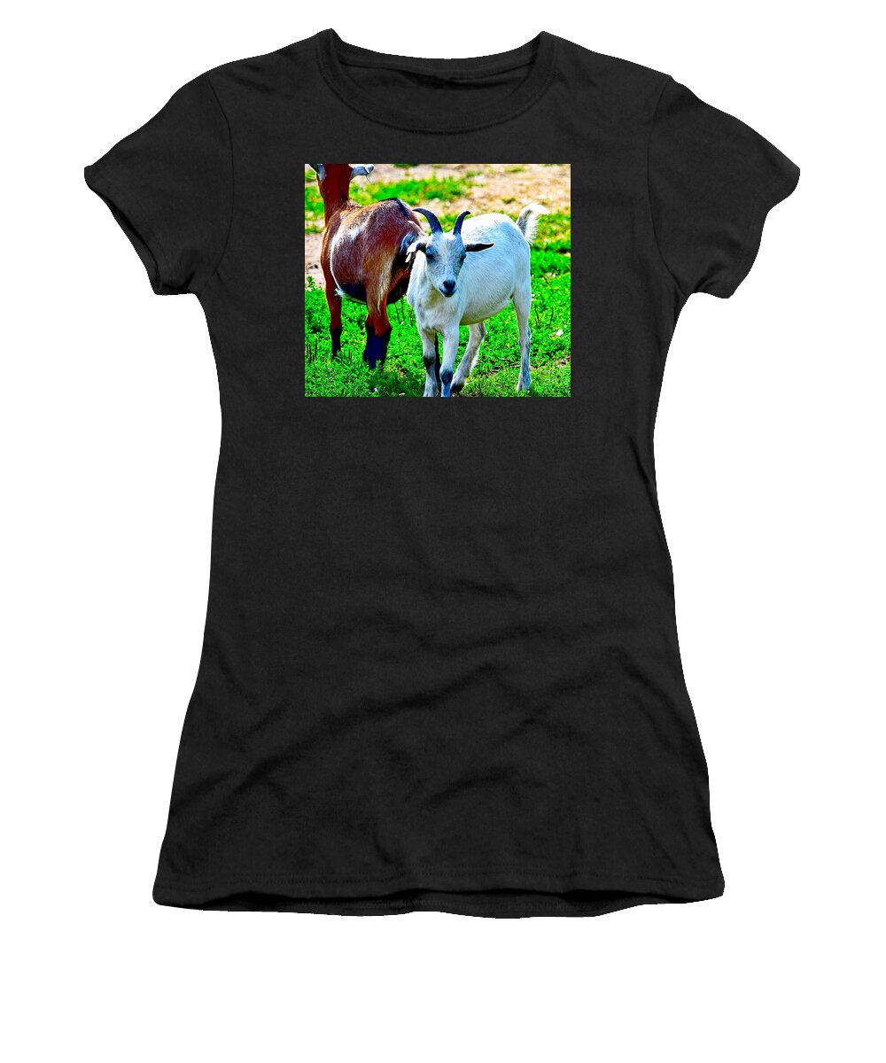 Goat Women's T-Shirt featuring the photograph Goat Friends by Becky Kurth
