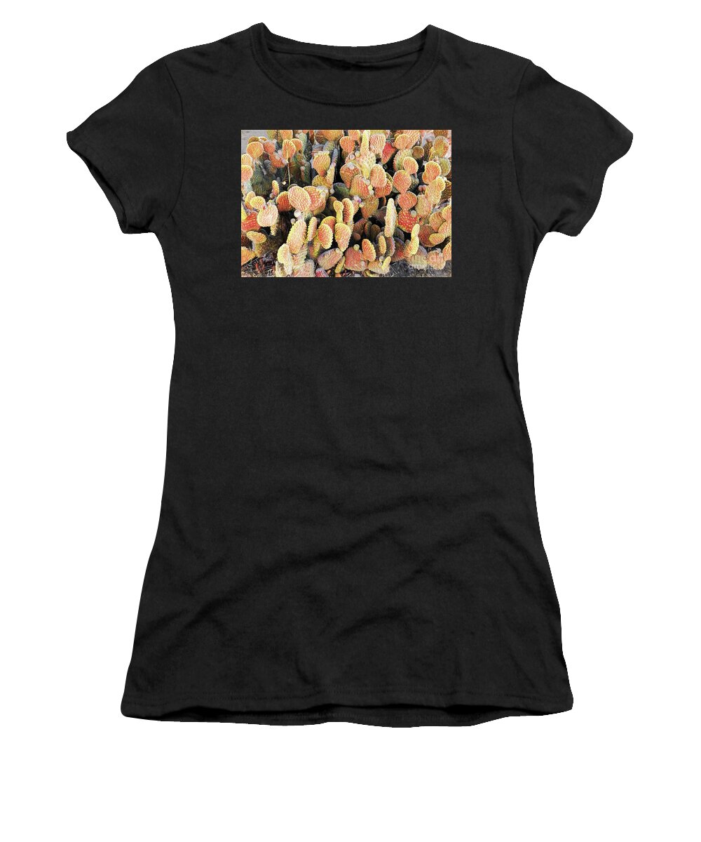 Cactus Women's T-Shirt featuring the photograph Golden Beaver Tail Catcus by Linda Phelps