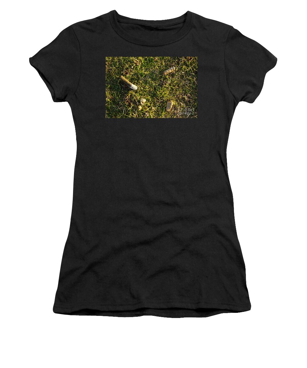 Canadian Goose Women's T-Shirt featuring the photograph Goose Droppings by Scimat