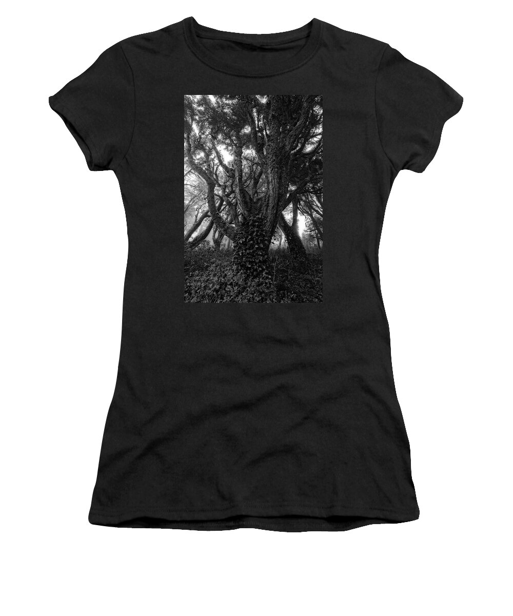 Europe Women's T-Shirt featuring the photograph Gothic Woods I by Marco Oliveira