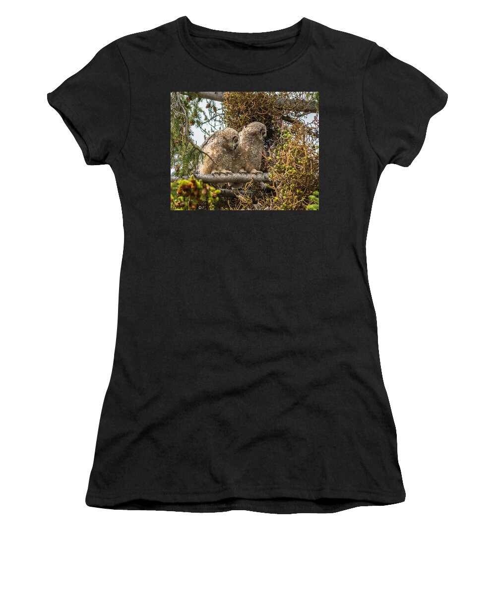 Yellowstone National Park Women's T-Shirt featuring the photograph Great-Horned Owlets In Spring by Yeates Photography