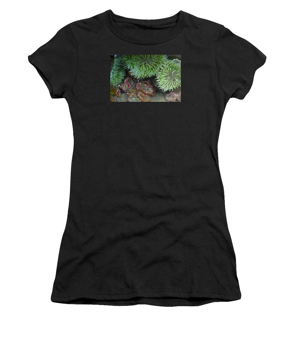 Ruby Beach And Beach 4 Women's T-Shirt featuring the photograph Green and Strawberry Anemonies by Chuck Flewelling