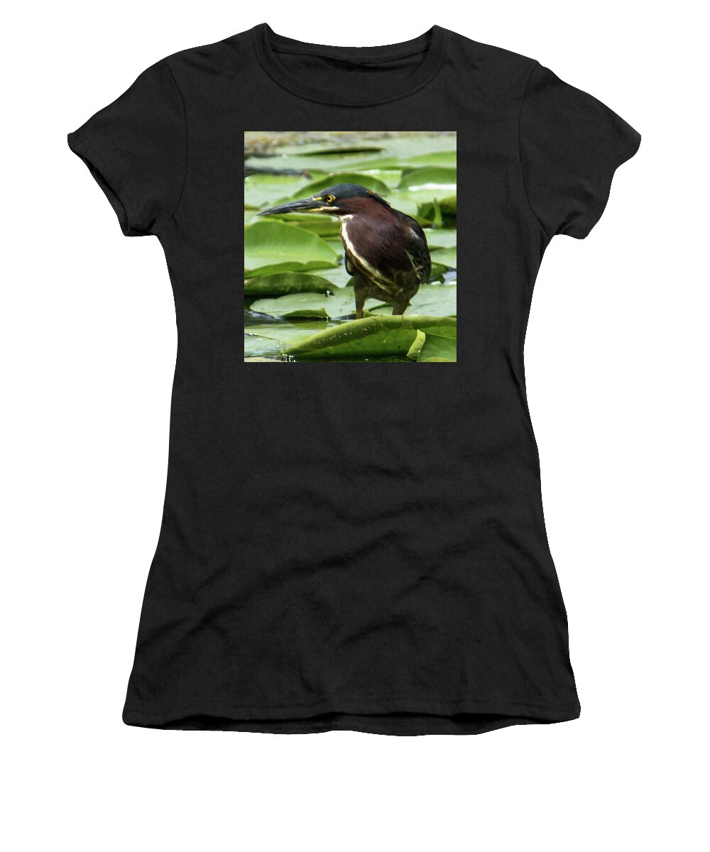Green Heron Women's T-Shirt featuring the photograph Green Heron with Damselfly by Michael Hall