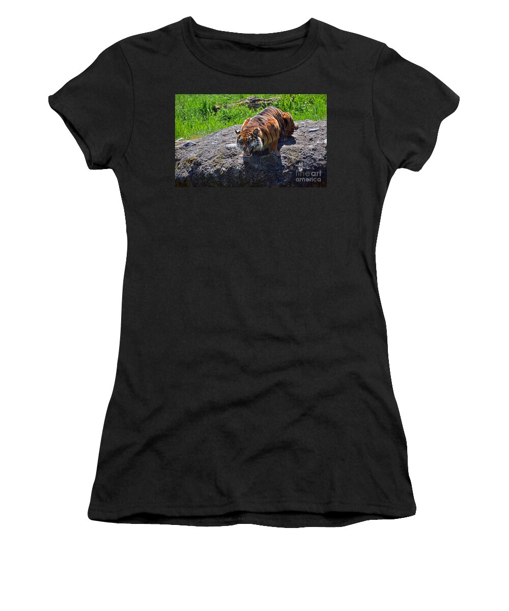 Sumatran Women's T-Shirt featuring the photograph Hangry by Frank Larkin