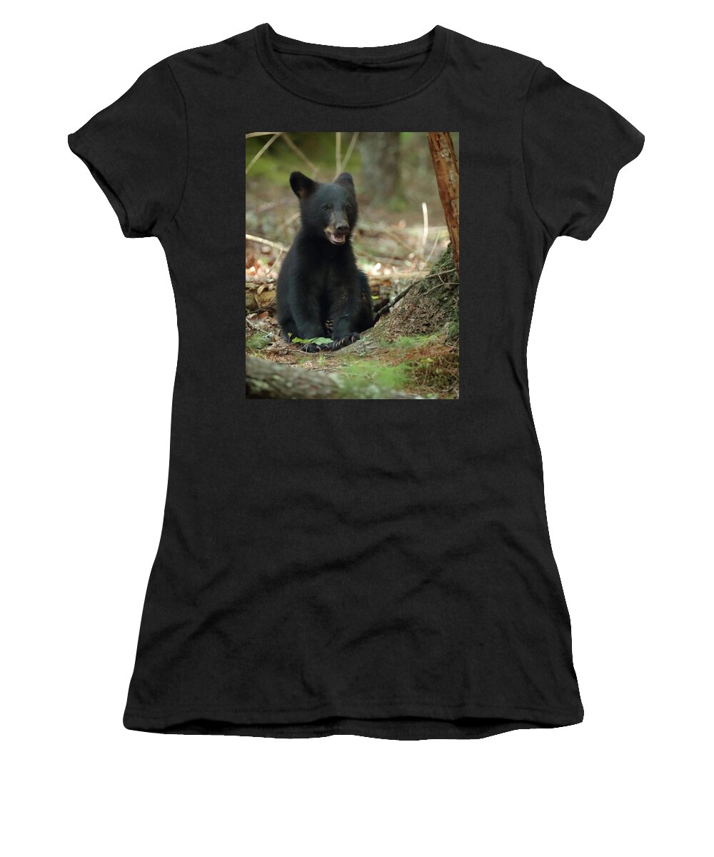 Black Bear Women's T-Shirt featuring the photograph Have You Seen My Mother by Coby Cooper