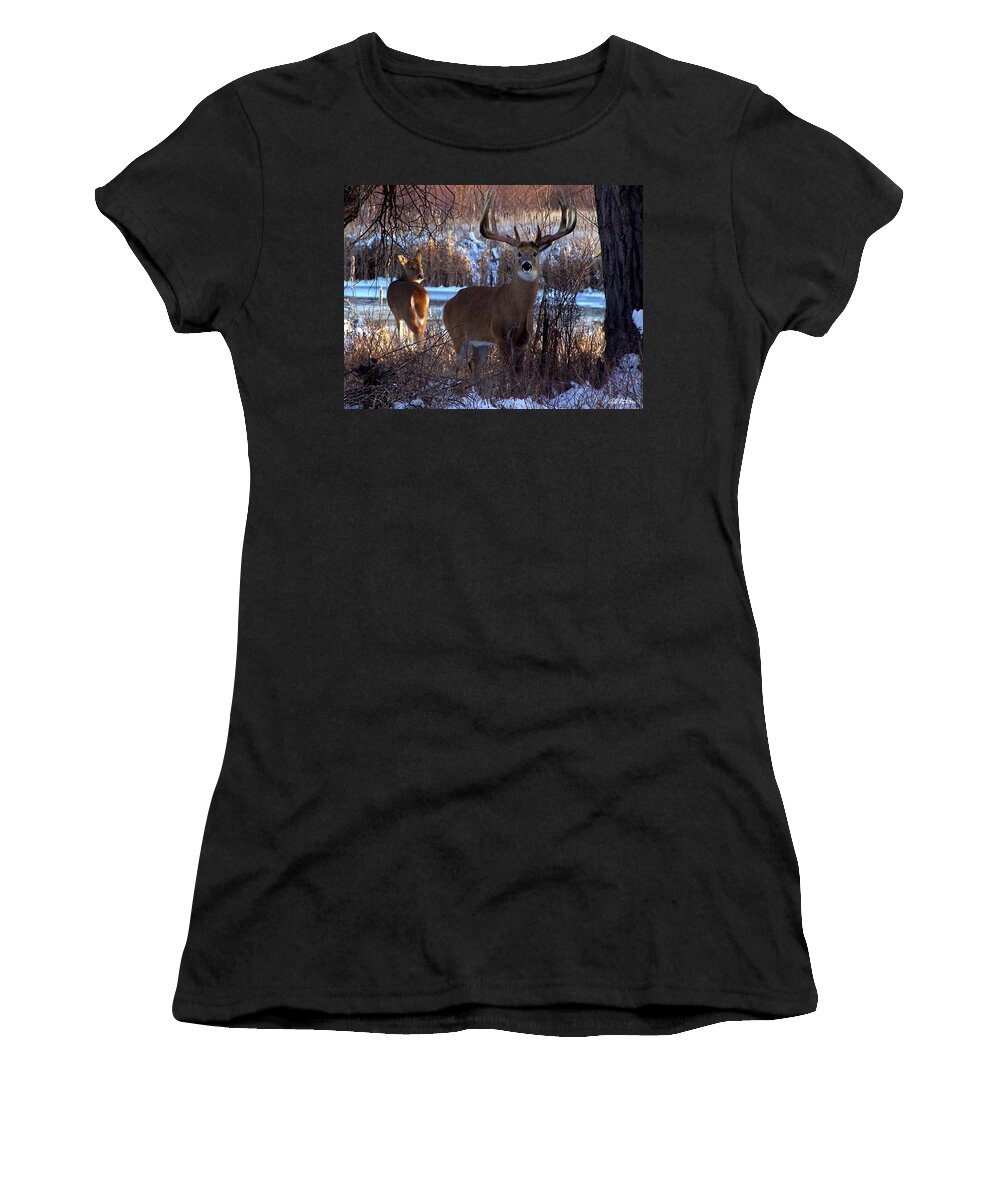 Deer Women's T-Shirt featuring the digital art Heartbeat Of The Wild by Bill Stephens