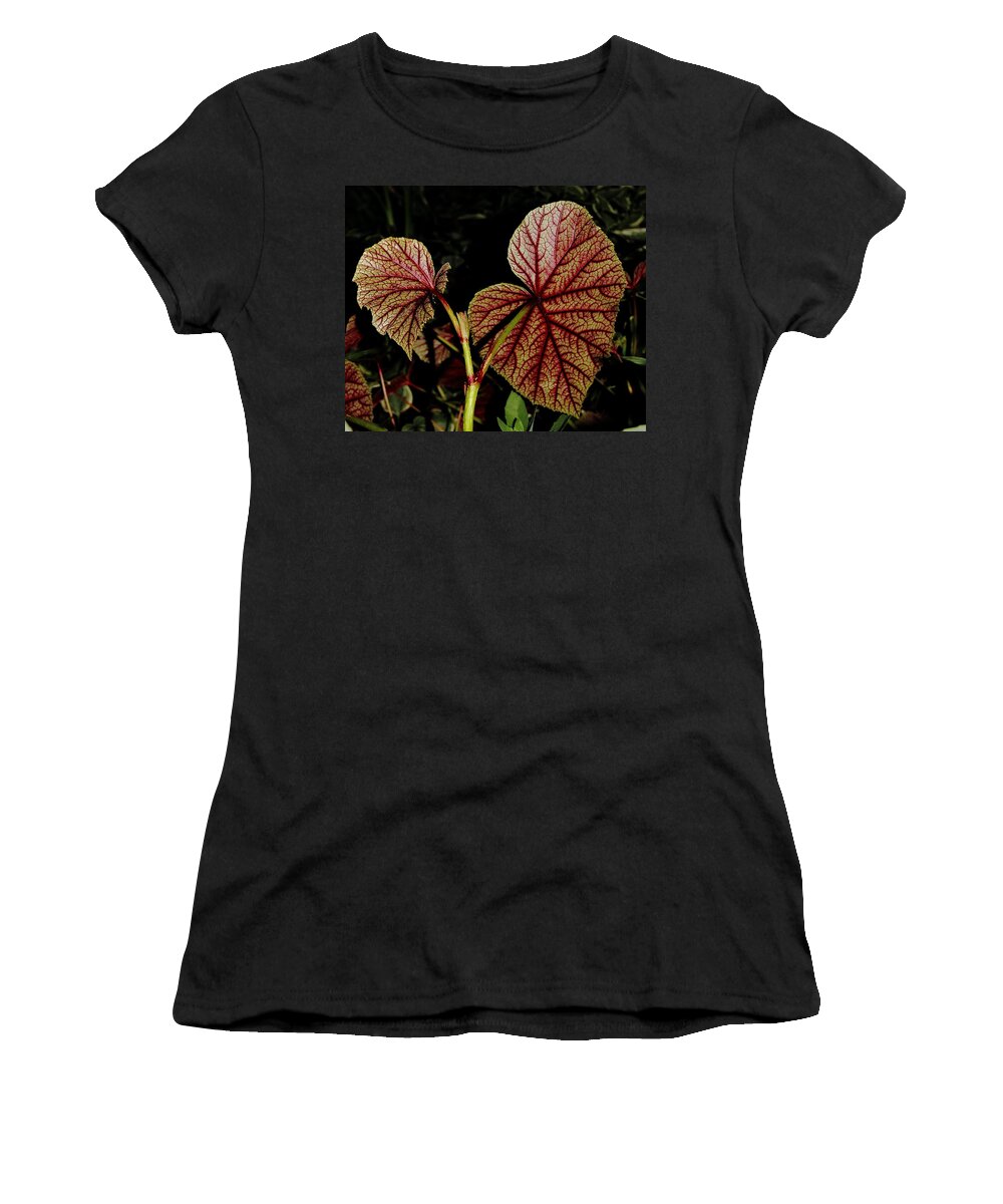 Begonia Women's T-Shirt featuring the photograph Hearty Begonia Backside by Allen Nice-Webb
