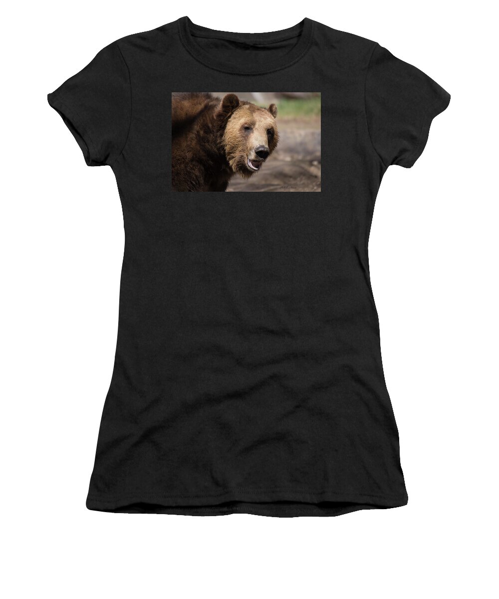 Grizzly Bear Women's T-Shirt featuring the photograph Here's Looking at you by ChelleAnne Paradis