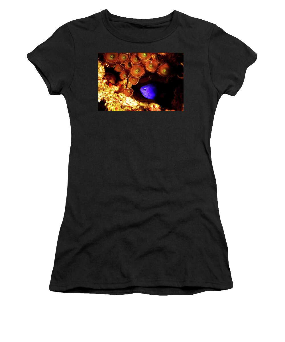 Underwater Women's T-Shirt featuring the photograph Hiding Damsel by Anthony Jones