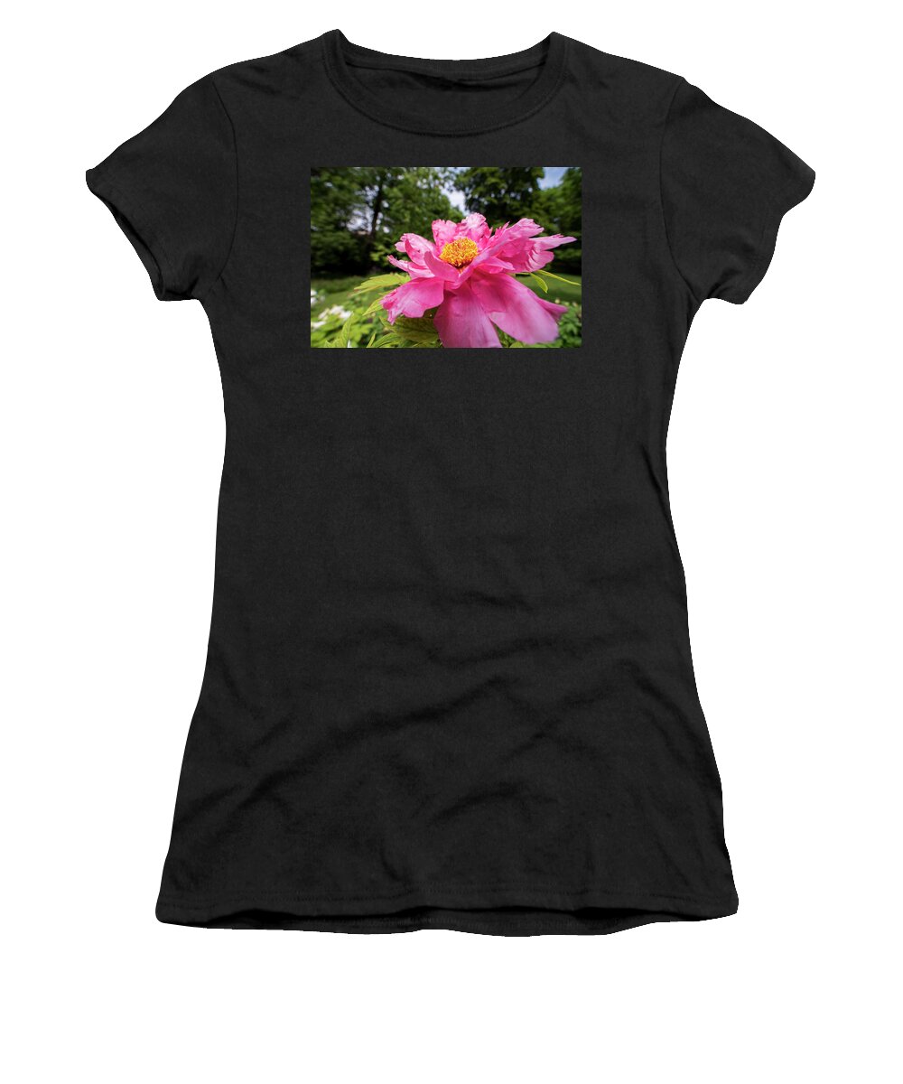 Highland Women's T-Shirt featuring the photograph Highland Park Garden Rochester NY Purple Flower 2 by Toby McGuire