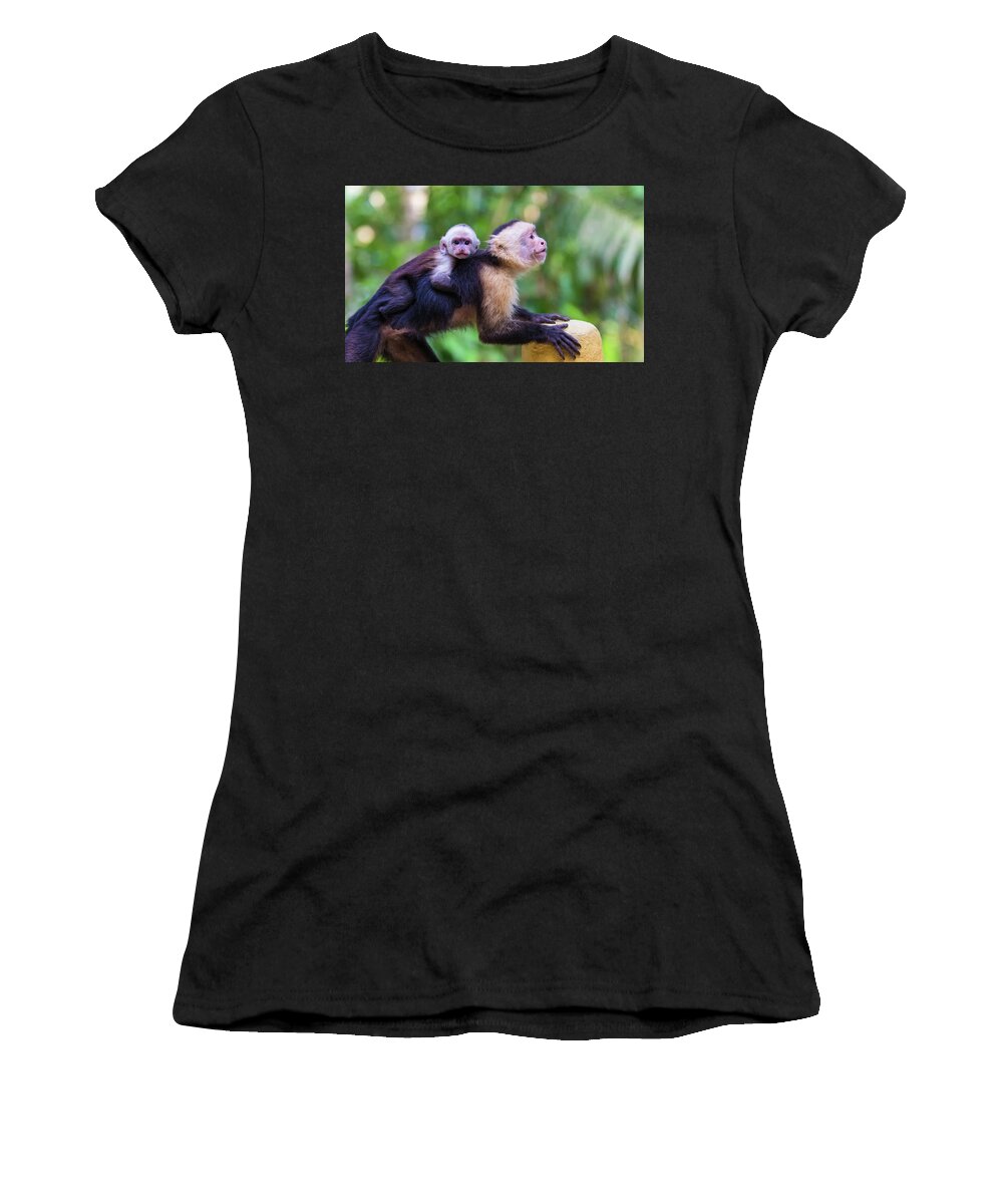 Costa Rica Women's T-Shirt featuring the photograph Hitching a Ride by Dillon Kalkhurst