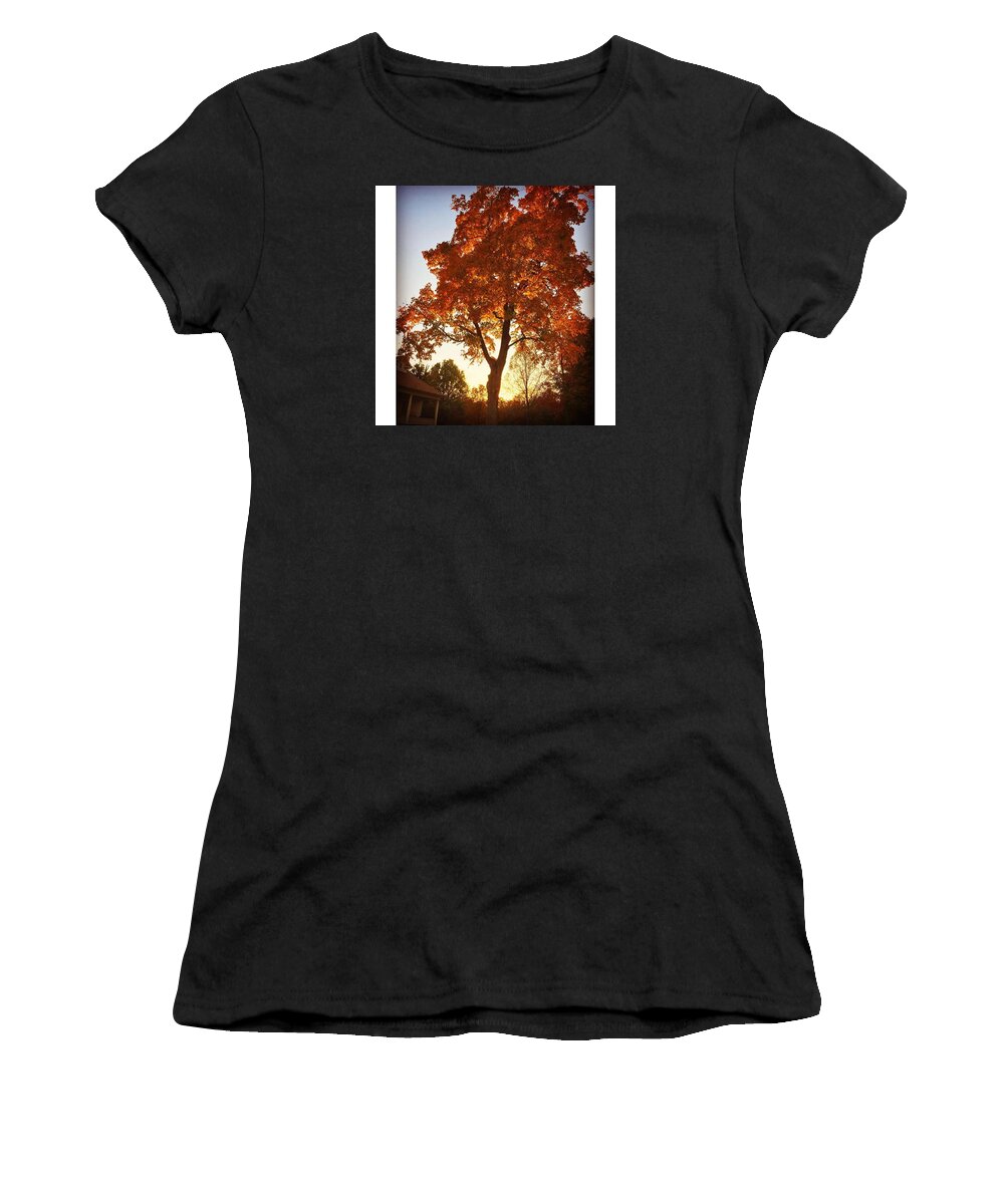 Tree Women's T-Shirt featuring the photograph Home by Haley Church