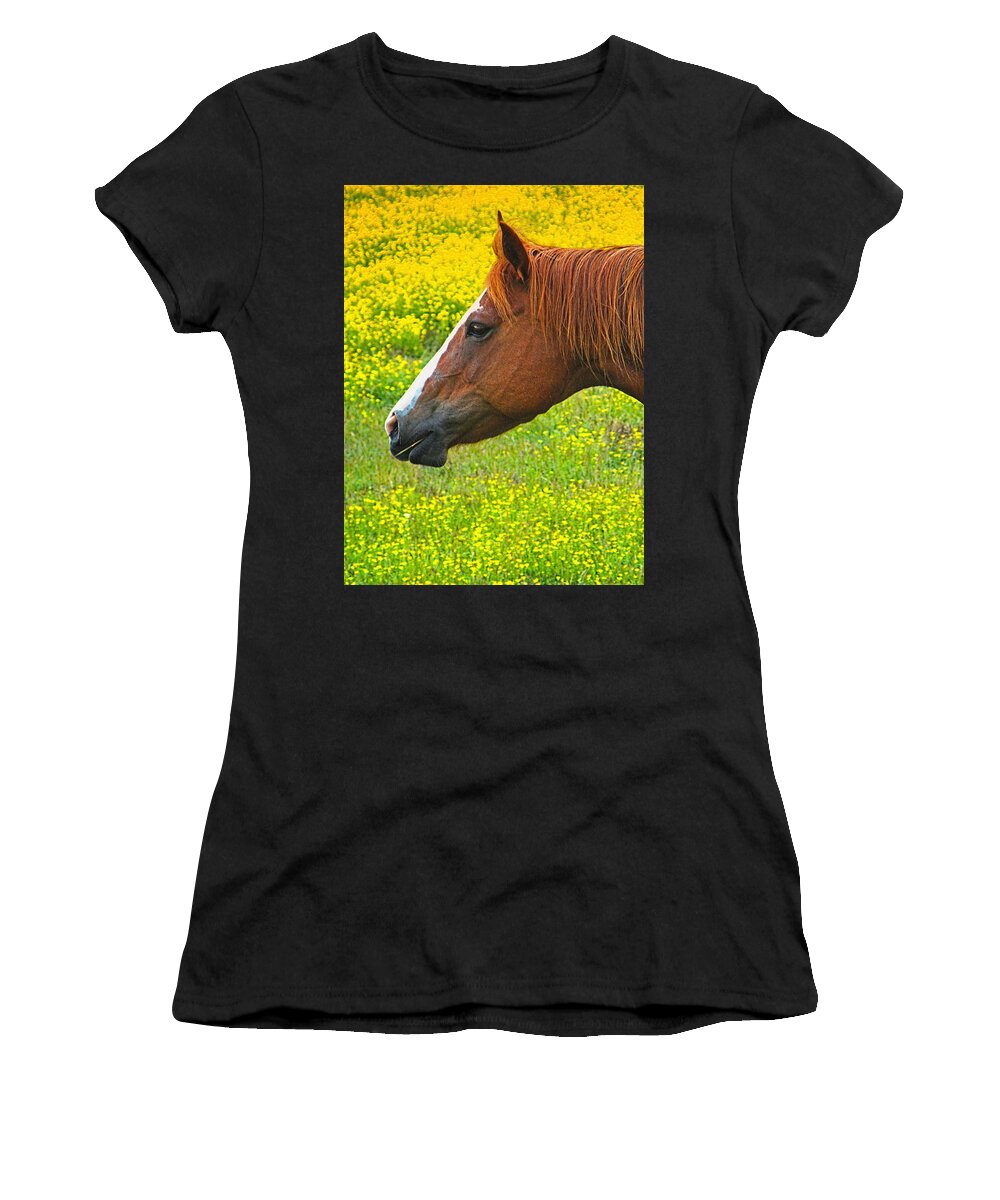 Horse Women's T-Shirt featuring the photograph Horse in Yellow Field by Wendy McKennon