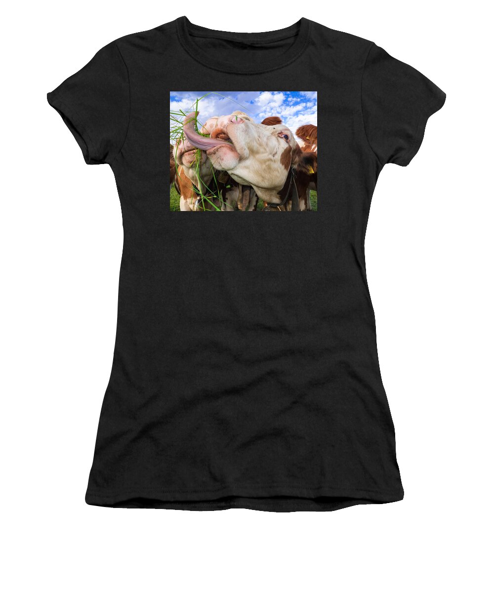 Cow Women's T-Shirt featuring the photograph Hungry cow eating grass funny picture by Matthias Hauser