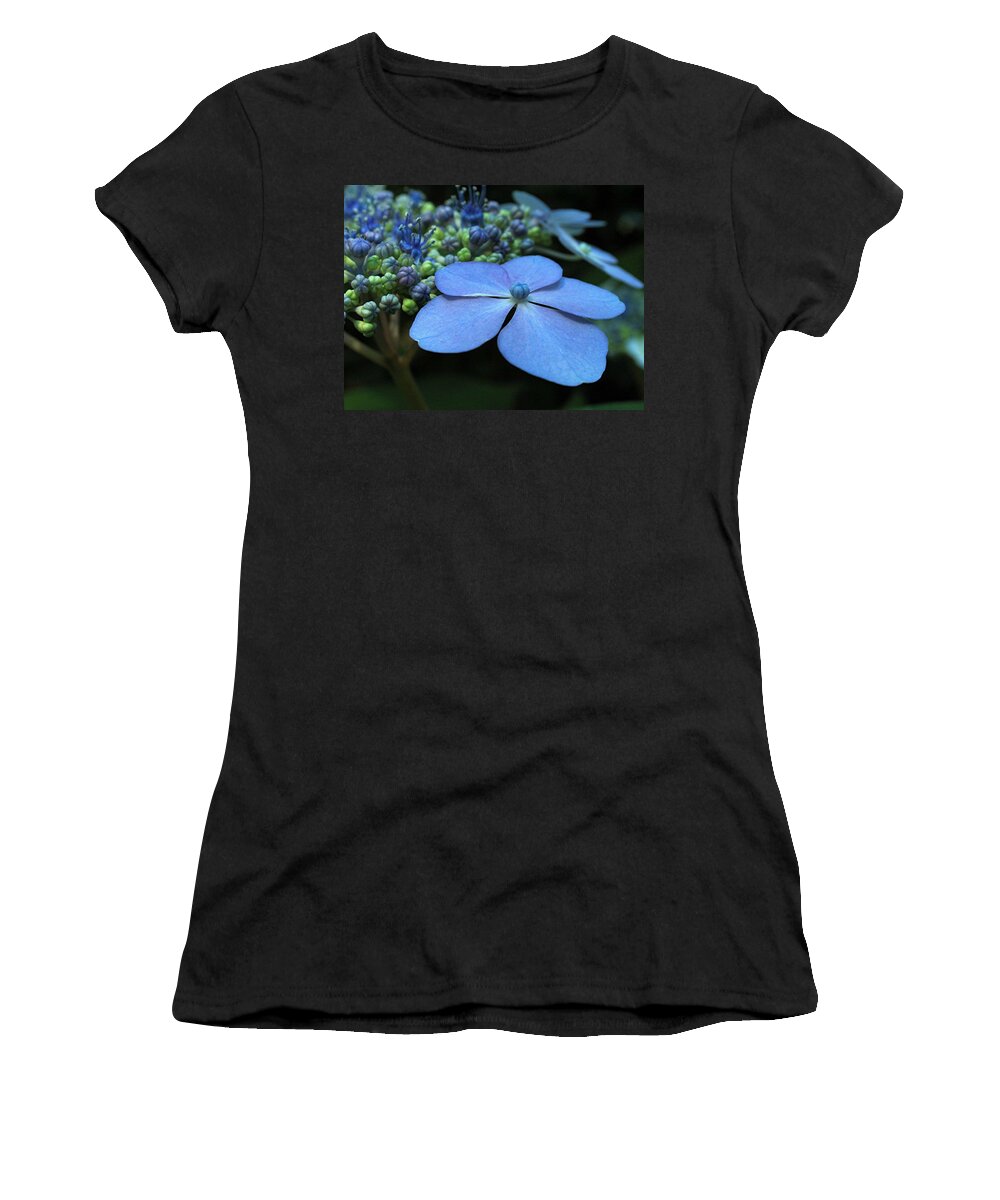 Flower Women's T-Shirt featuring the photograph Hydrangea by Juergen Roth