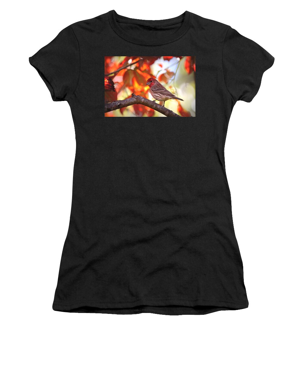 House Finch Women's T-Shirt featuring the photograph IMG_9746 - House Finch by Travis Truelove