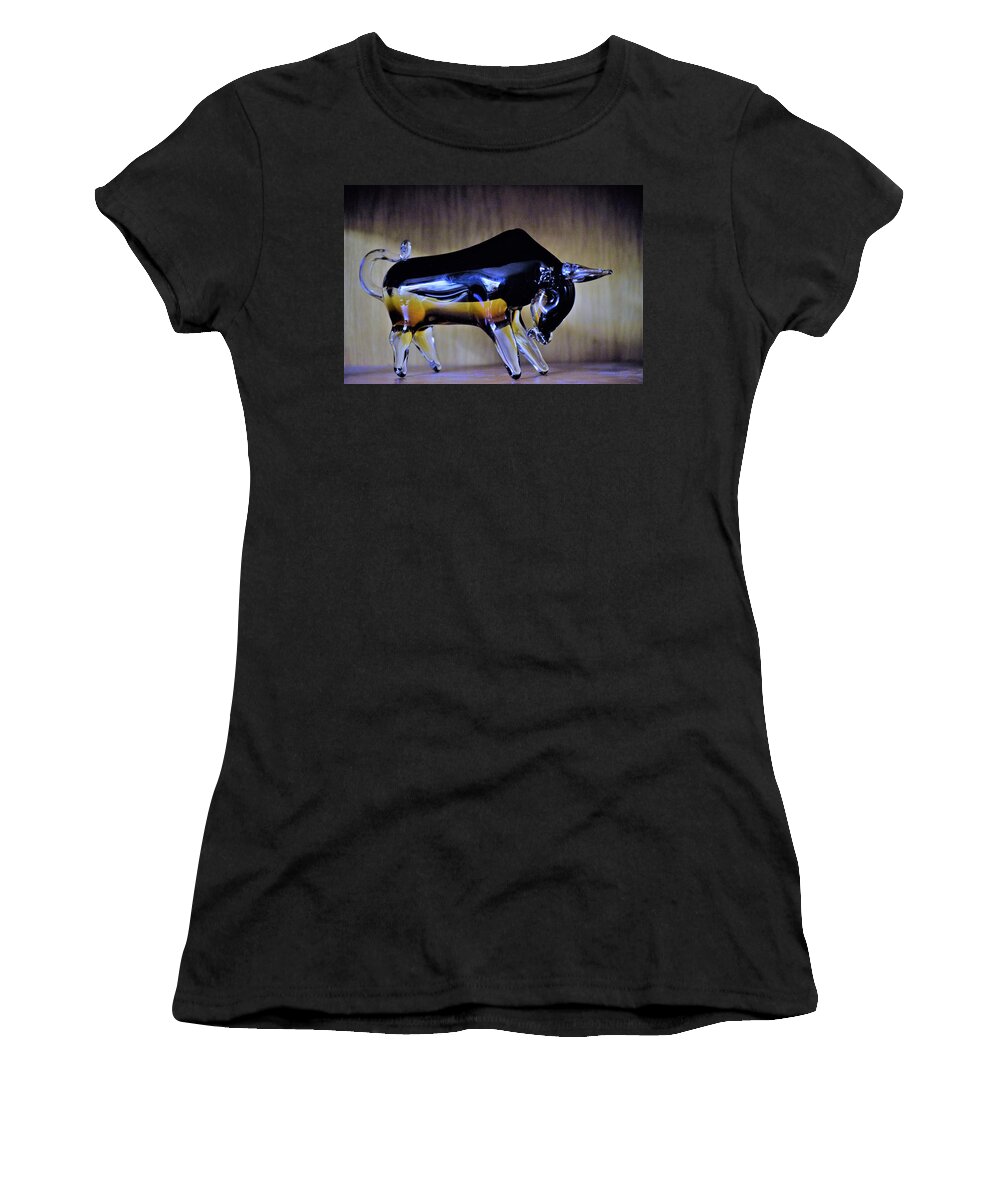 Retirement Women's T-Shirt featuring the photograph In Conclusion by John Glass