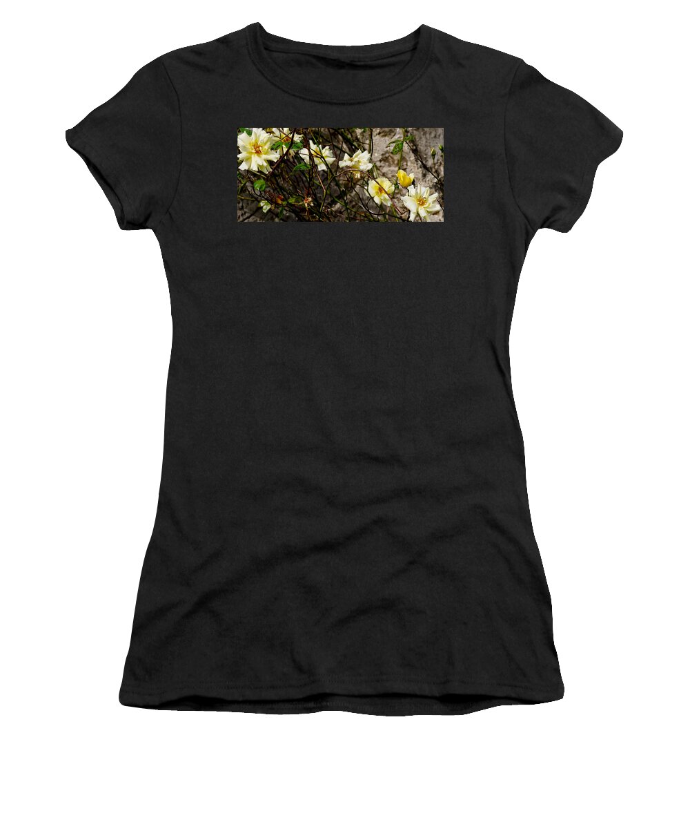 Roses Women's T-Shirt featuring the photograph In opposite corners. by Elena Perelman