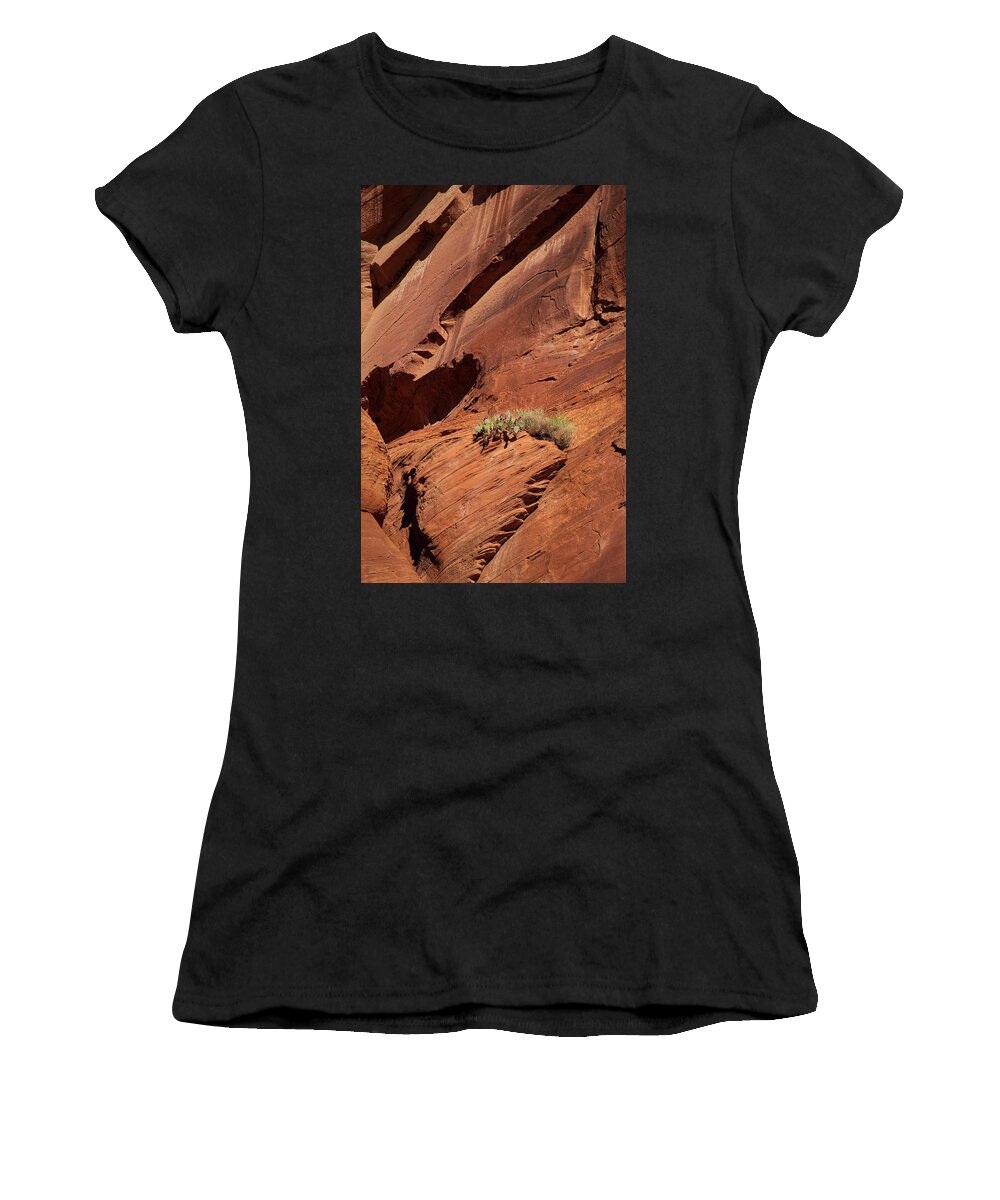 Arizona Women's T-Shirt featuring the photograph In The Rock Life Will Come by Lucinda Walter