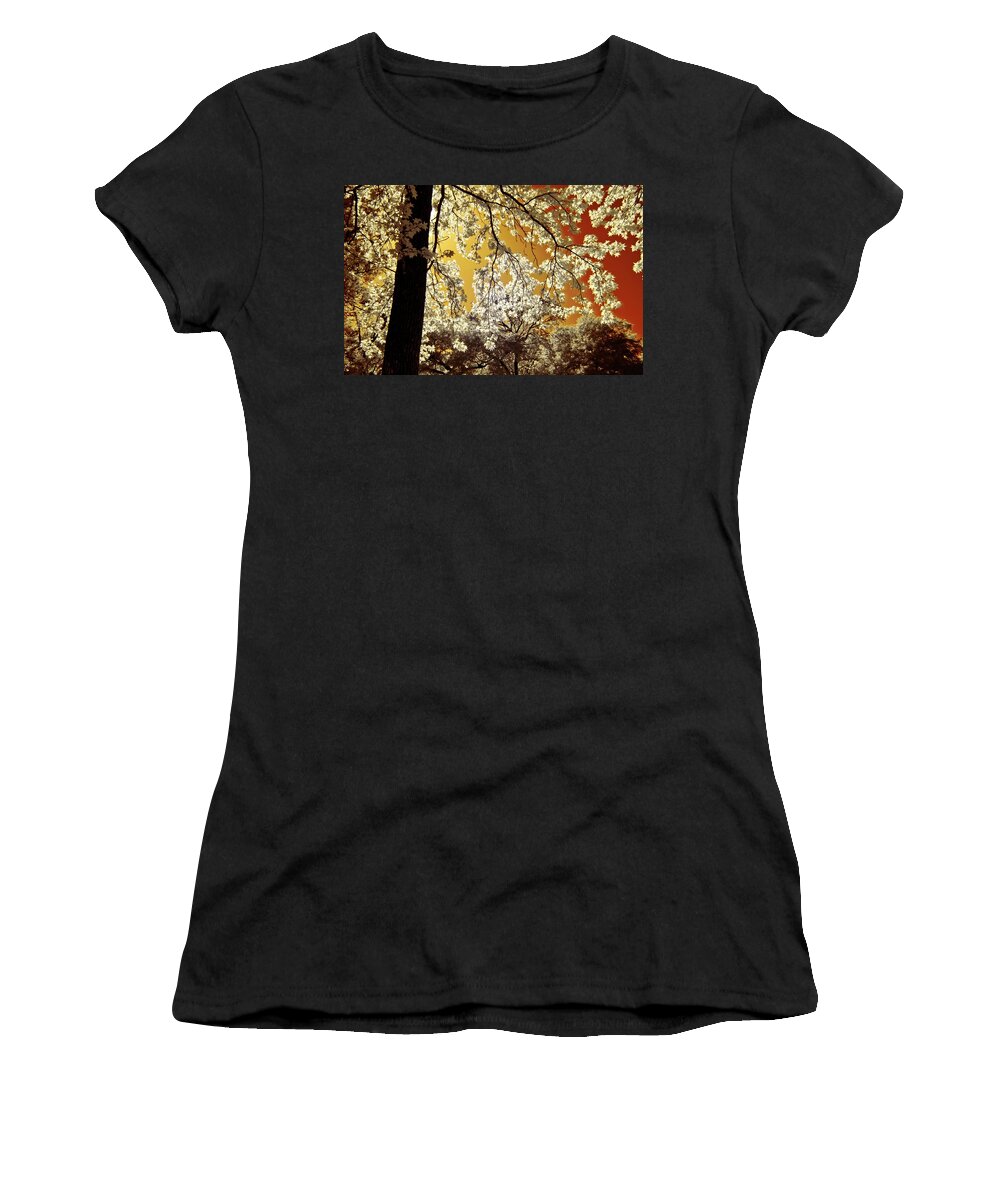 Infrared Women's T-Shirt featuring the photograph Into the Golden Sun by Linda Unger