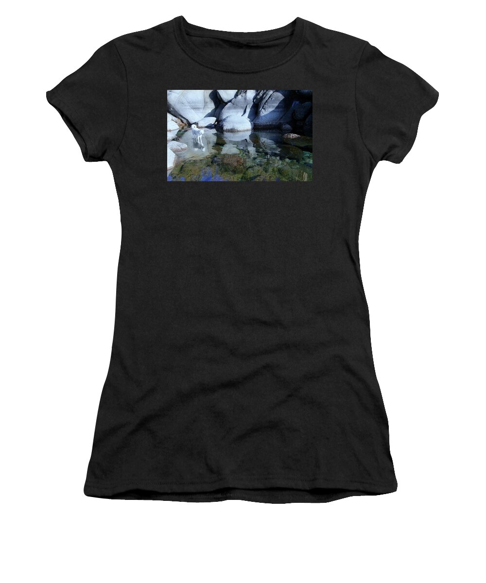 Lake Tahoe Women's T-Shirt featuring the photograph Into The Light by Sean Sarsfield