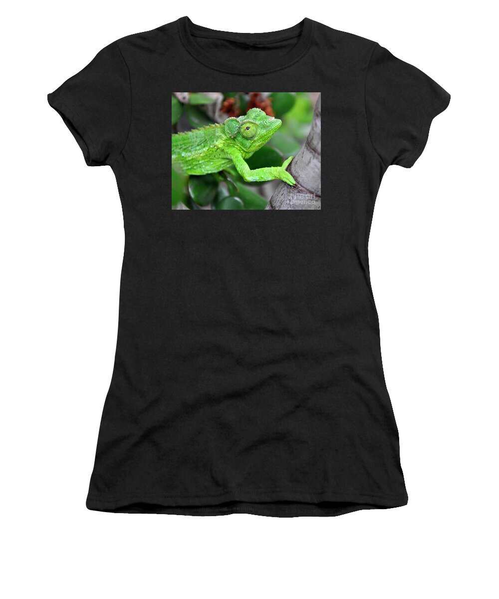 Jackson Chameleon Women's T-Shirt featuring the photograph Jackson Chameleon aka Prince Charming by Paula Joy Welter