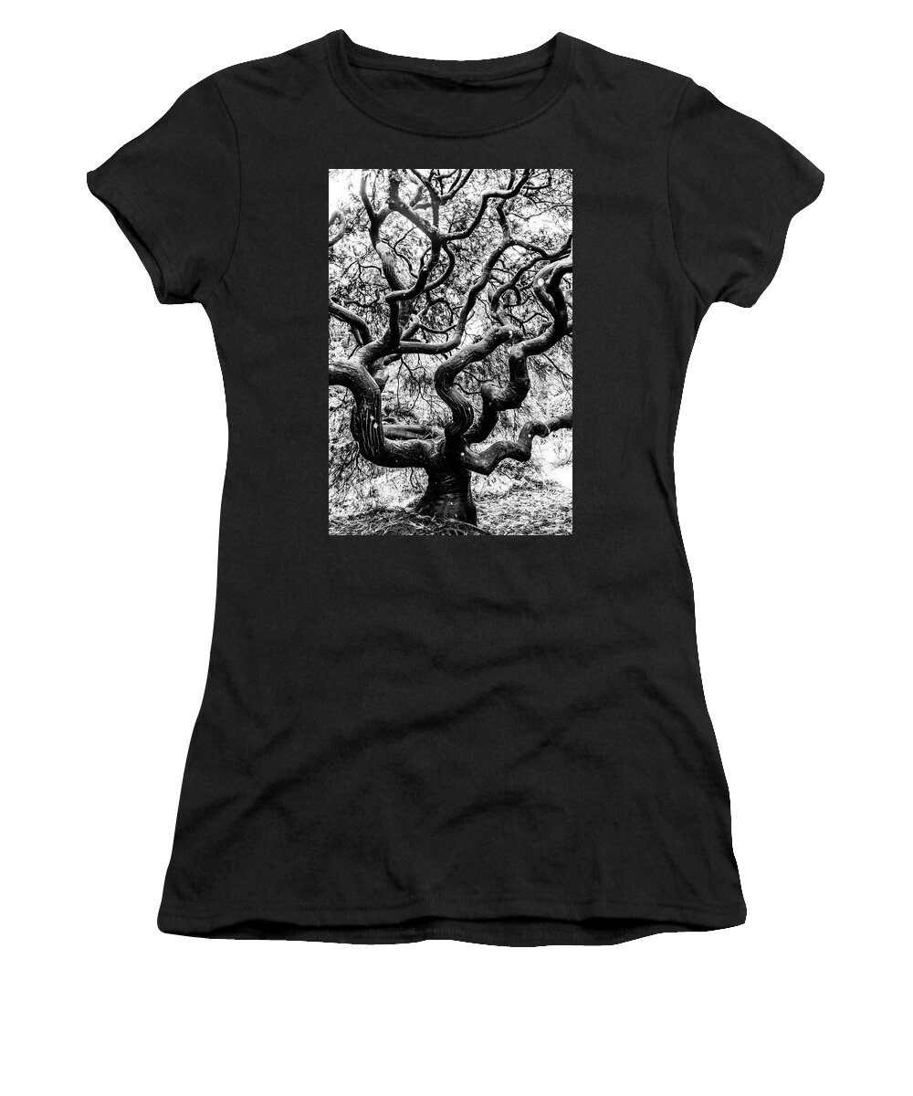 Japanese Maple Women's T-Shirt featuring the photograph Japenese Maple BW by Pamela S Eaton-Ford