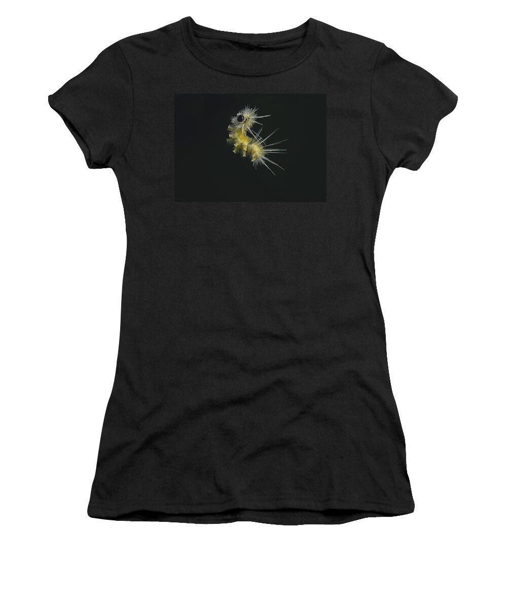 Caterpillar Women's T-Shirt featuring the photograph Jump by Sue Capuano