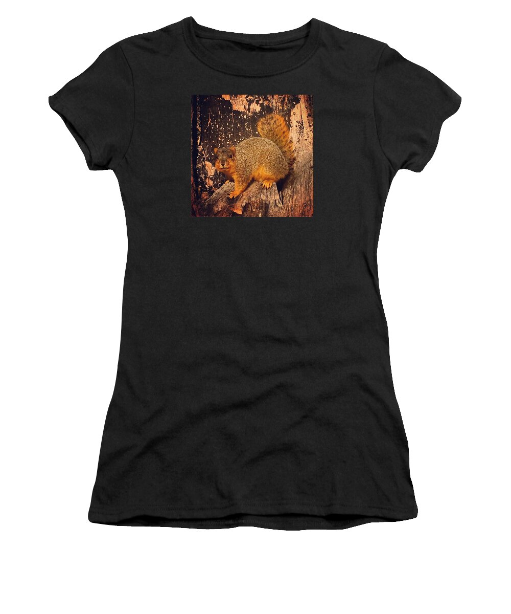 Squirrel Women's T-Shirt featuring the photograph Sandy by Haley Church