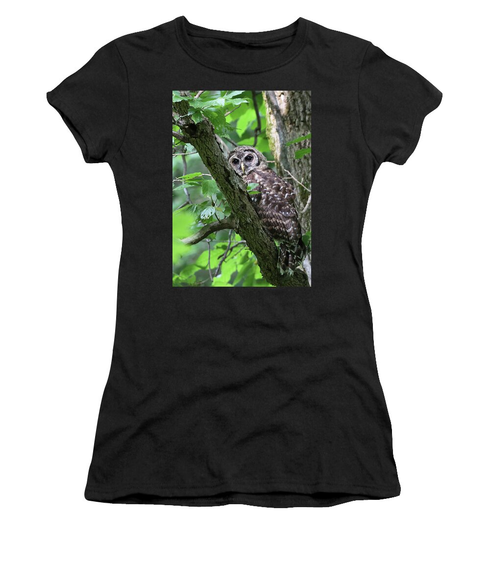 Avian Women's T-Shirt featuring the photograph Juvenile Barred Owl by Gina Fitzhugh
