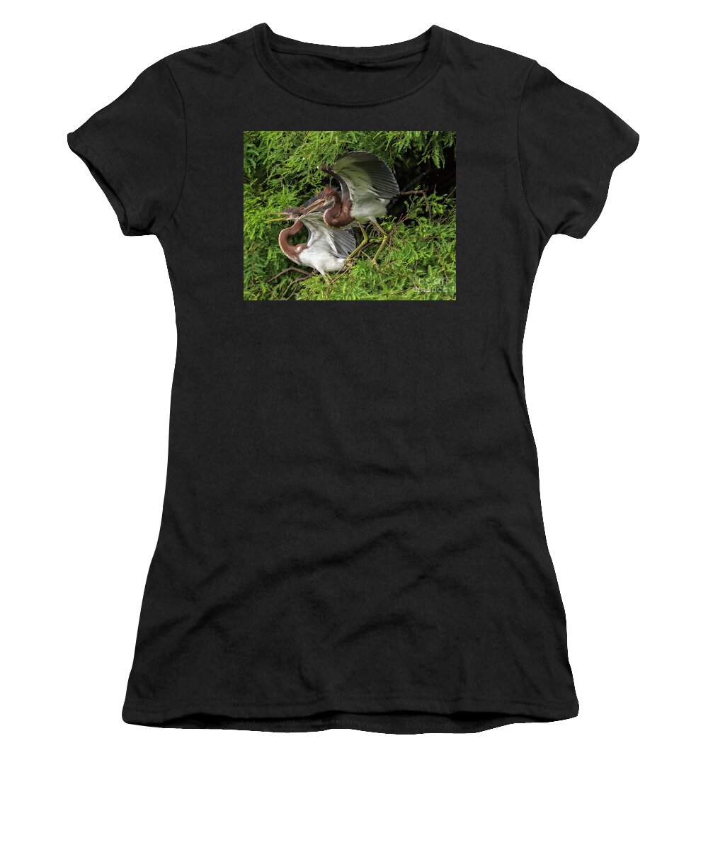 Herons Women's T-Shirt featuring the photograph Juvenile Tricolored Heron Siblings by DB Hayes