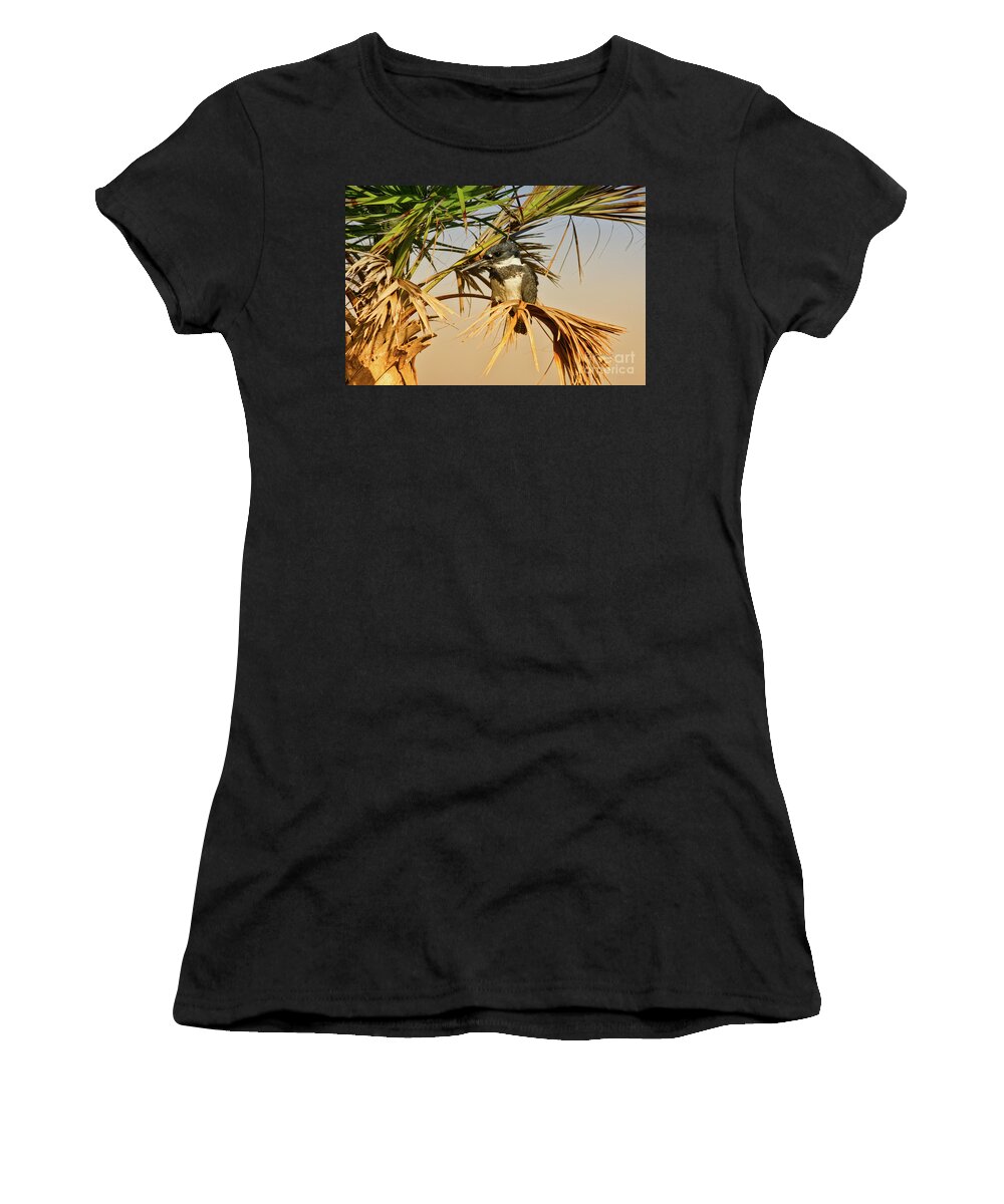 Bird Women's T-Shirt featuring the photograph King Fisher Perch by Deborah Benoit