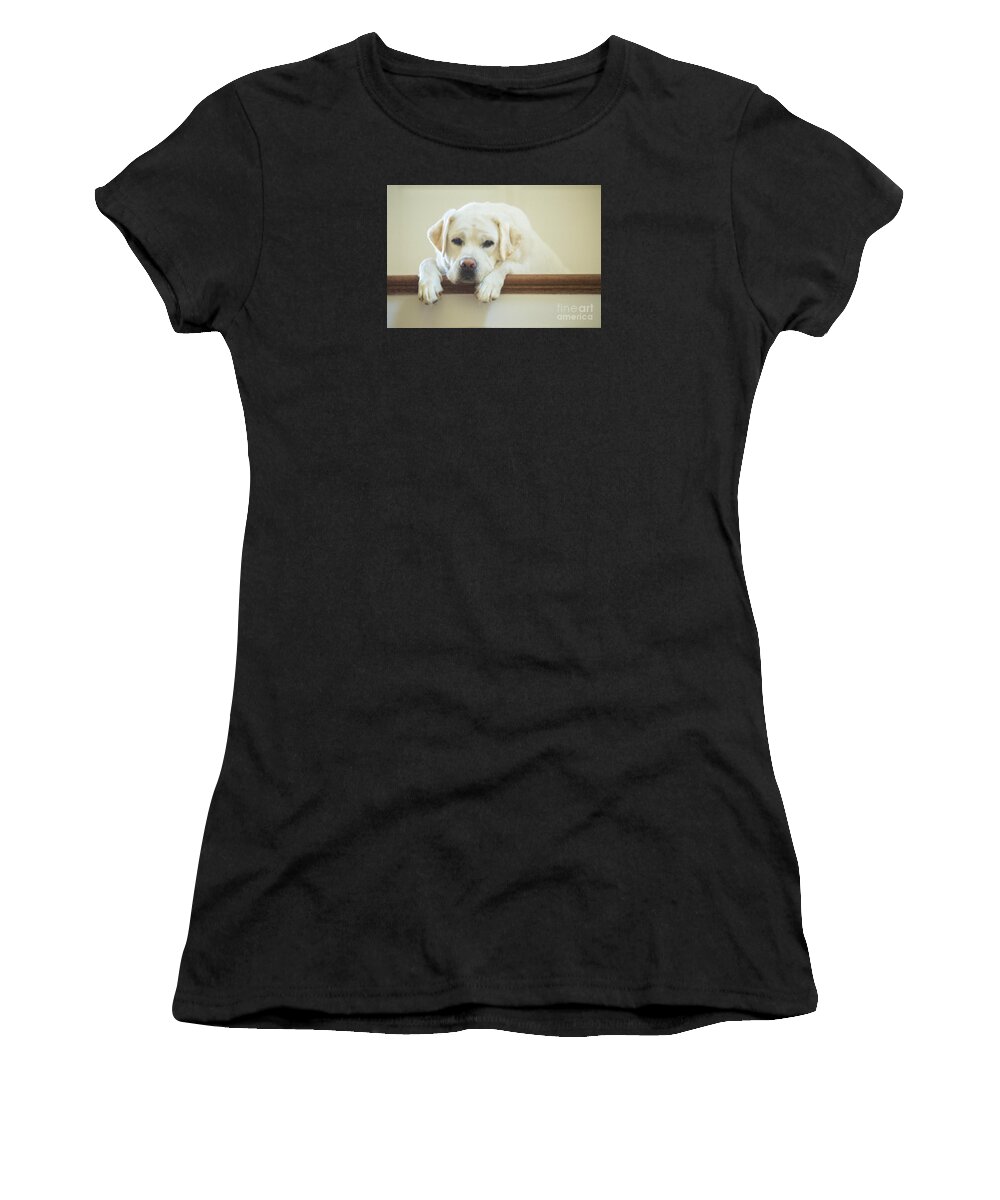 Dog Women's T-Shirt featuring the photograph Labrador Retriever on the Stairs by Diane Diederich