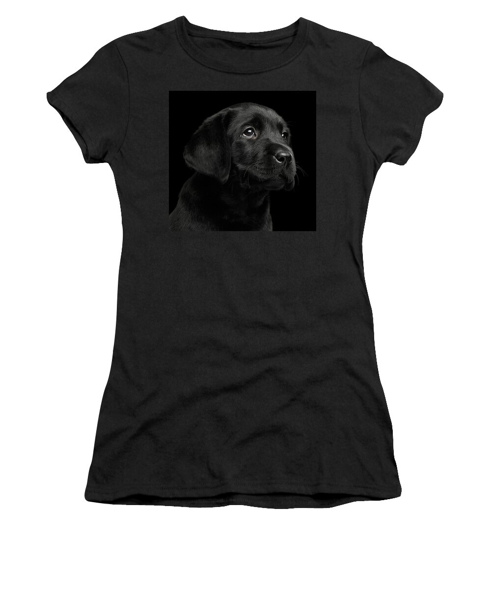 Puppy Women's T-Shirt featuring the photograph Labrador Retriever puppy isolated on black background by Sergey Taran