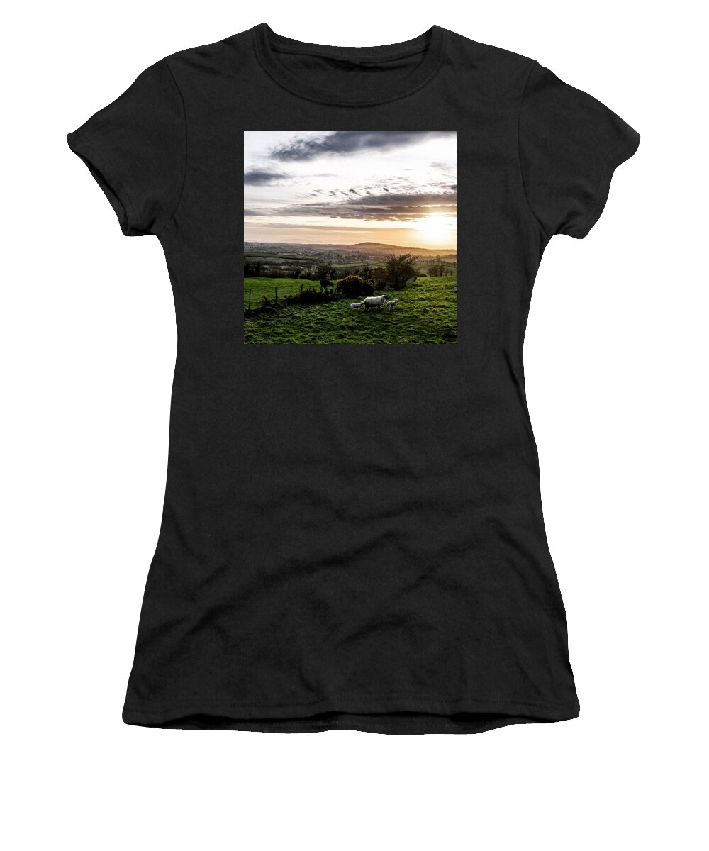 Sheep Women's T-Shirt featuring the photograph Lambs by Aleck Cartwright