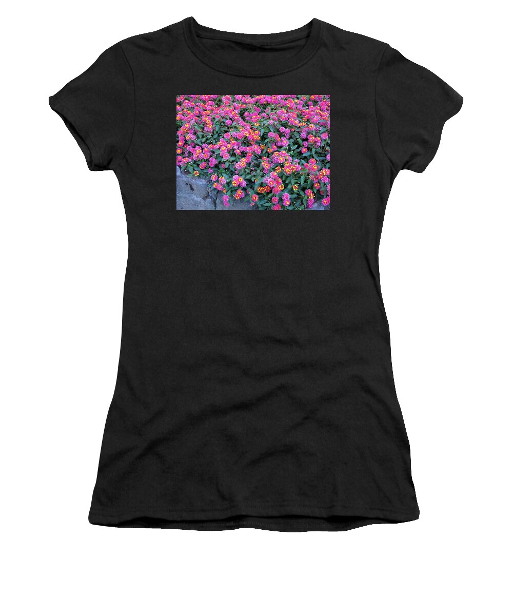 Flowers Women's T-Shirt featuring the photograph Lantana by Betty Buller Whitehead