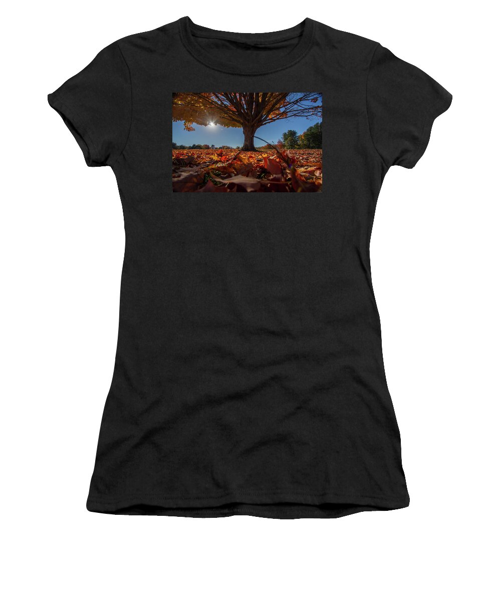 Sunlight Women's T-Shirt featuring the photograph Leaves by Darryl Hendricks