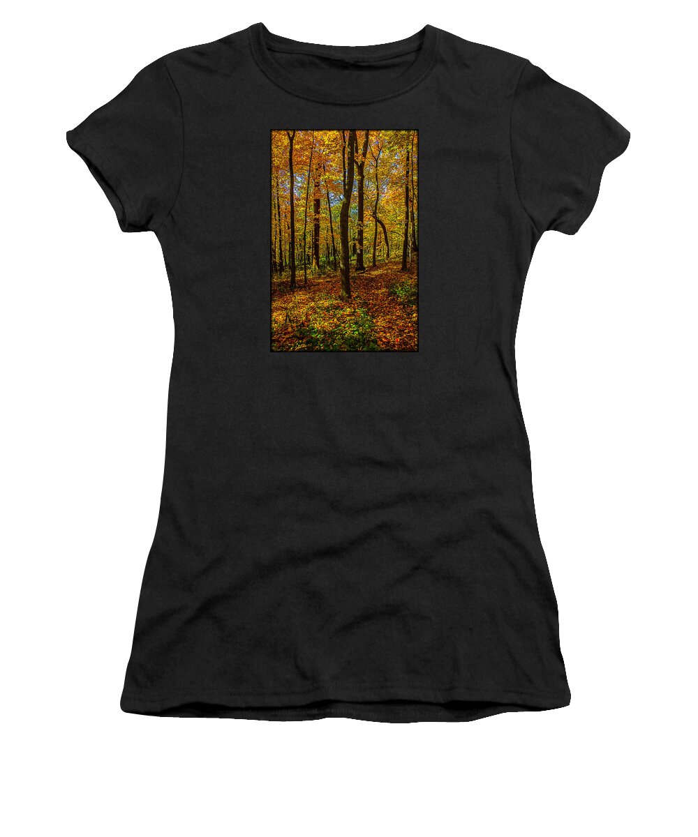 Illinois Women's T-Shirt featuring the photograph Left or Right? Lost in the Woods by Roger Passman