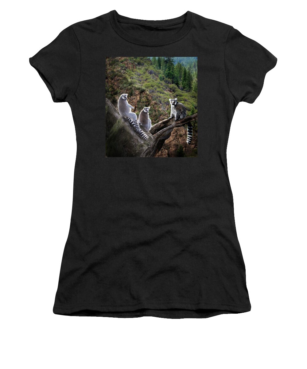 Nature Photography Women's T-Shirt featuring the photograph Lemur Family by Melinda Hughes-Berland