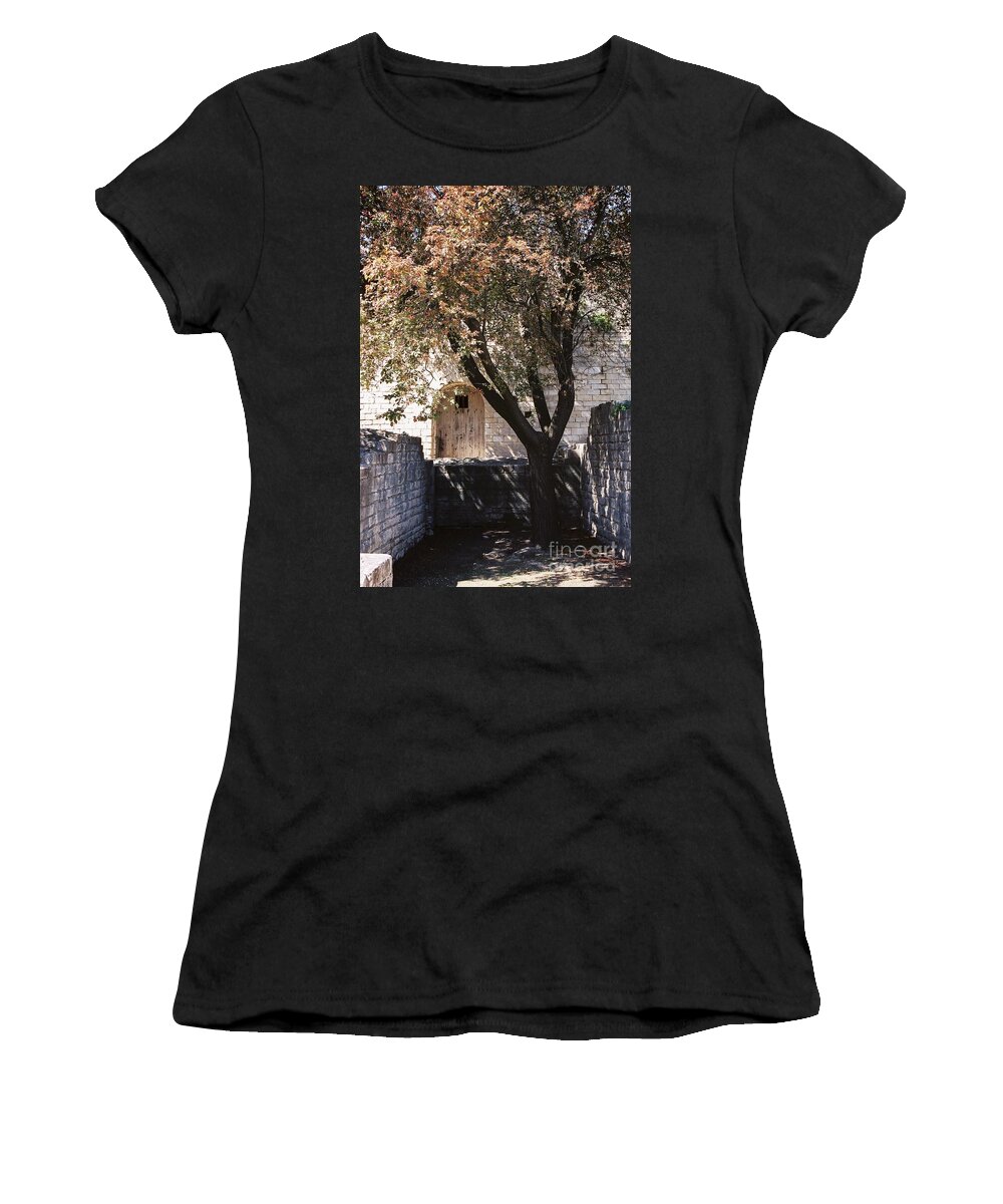 Life Women's T-Shirt featuring the photograph Life and Death by Nadine Rippelmeyer