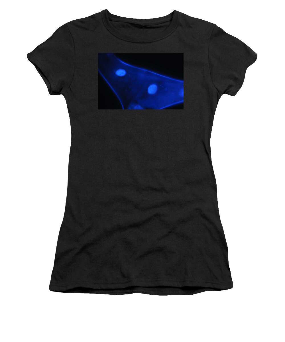 Blue Women's T-Shirt featuring the photograph Liquid Blue 1 by Mark Fuller