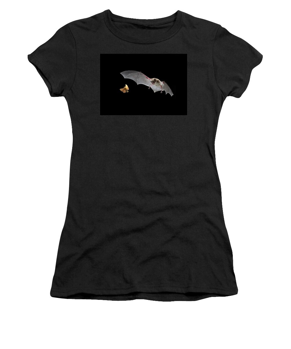 Mp Women's T-Shirt featuring the photograph Little Brown Bat Hunting Moth by Michael Durham