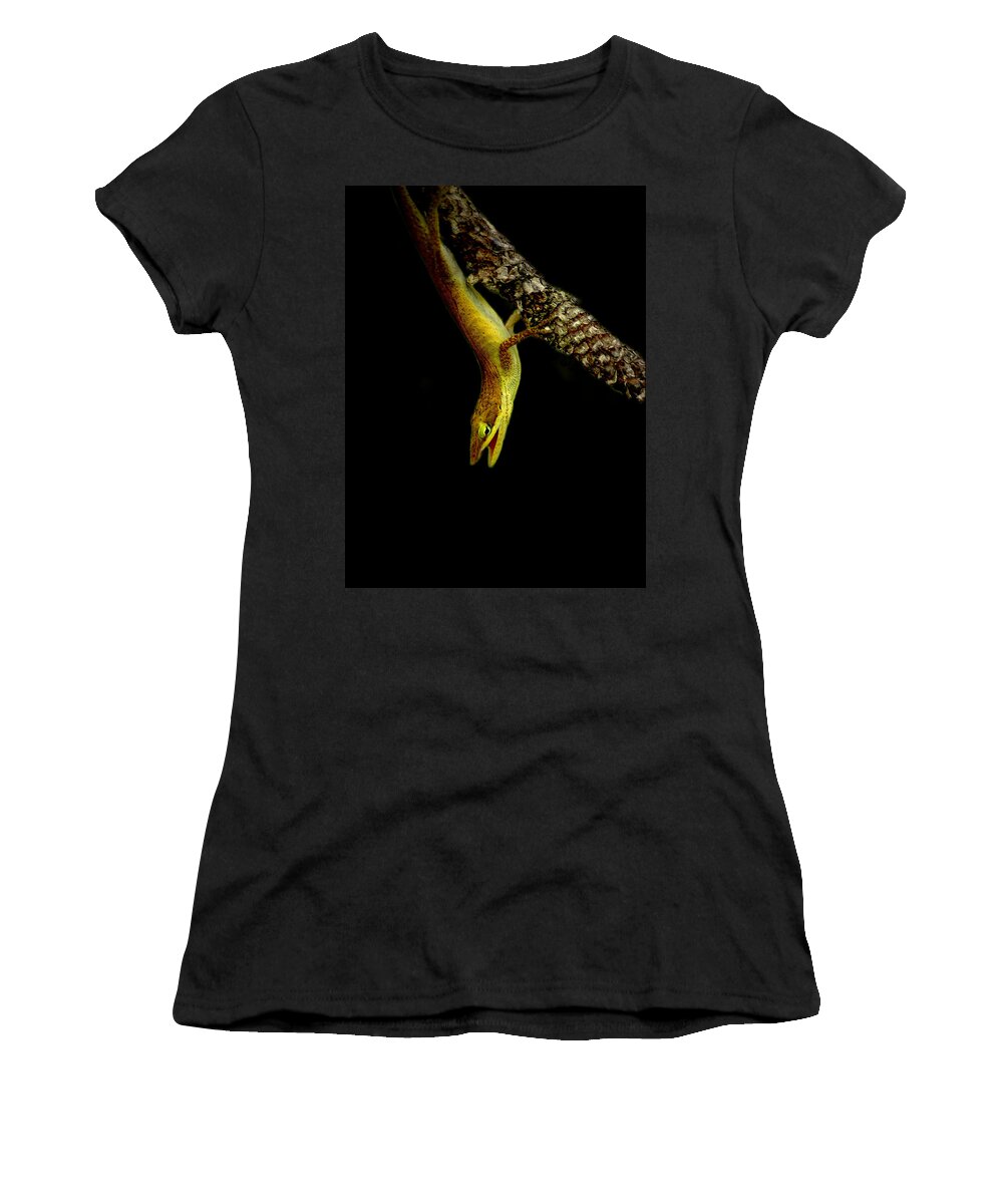  Women's T-Shirt featuring the photograph Lizard 3 by David Weeks
