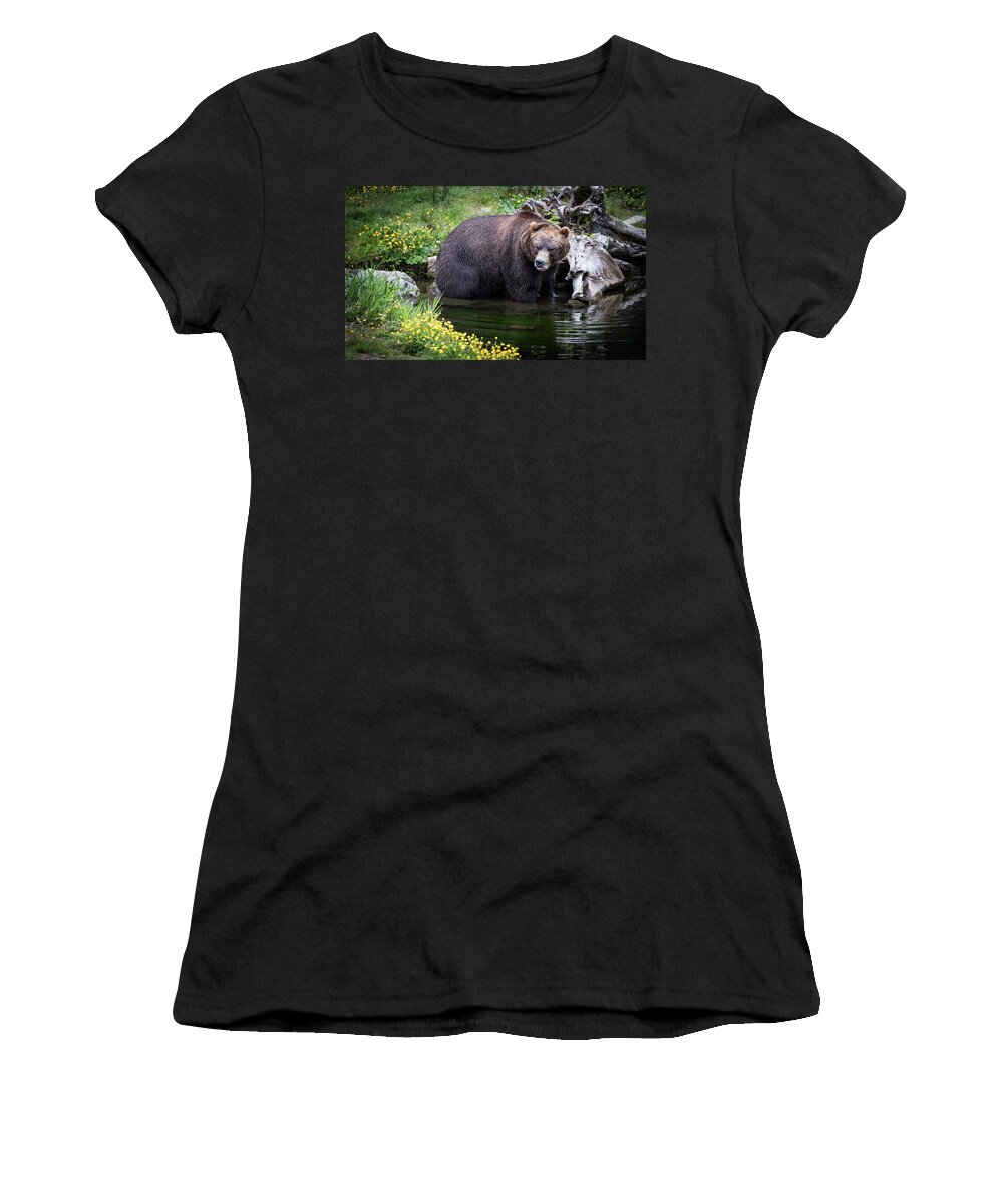 Bear Women's T-Shirt featuring the photograph Looking for Dinner by Bruce Bonnett