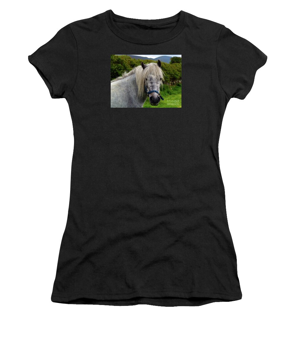 Horse Photography Women's T-Shirt featuring the photograph Looking for Handouts on the Dingle Peninsula by Patricia Griffin Brett