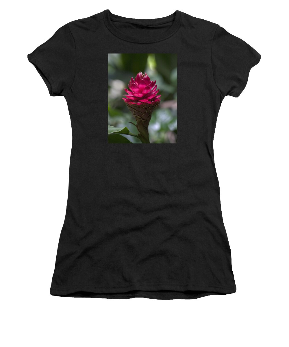  Flower Women's T-Shirt featuring the photograph Luminous Ginger by Morris McClung