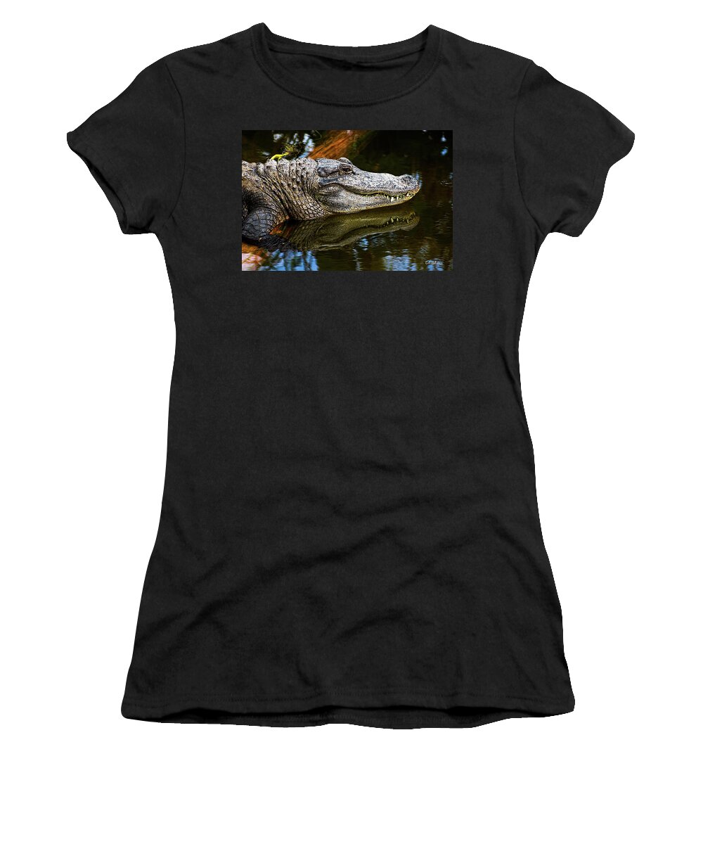 Alligator Women's T-Shirt featuring the photograph Lump On A Log by Christopher Holmes