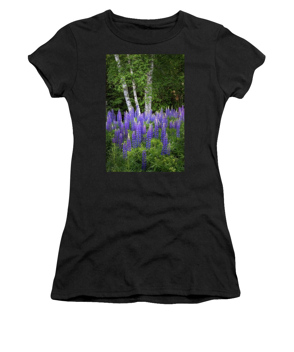 Sugar Hill Women's T-Shirt featuring the photograph Lupine and Birch Tree by Bill Wakeley